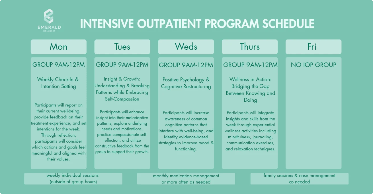 IOP Schedule for mental health treatment